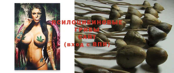 дживик Заволжье