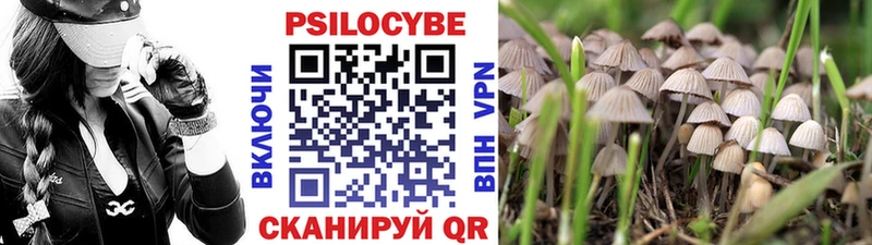 Галлюциногенные грибы мицелий  Инза 